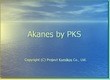 Akanes Presentation